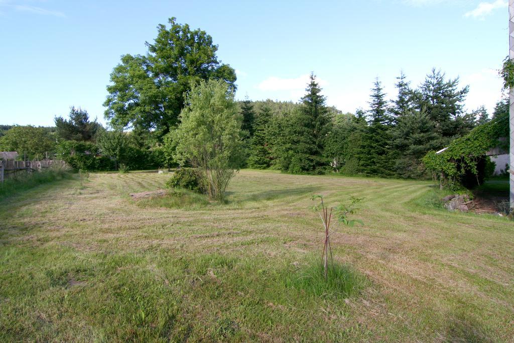 Penzion Muflon Bela nad Radbuzou Exterior foto