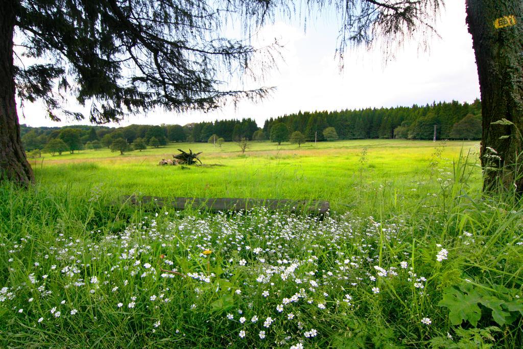 Penzion Muflon Bela nad Radbuzou Exterior foto